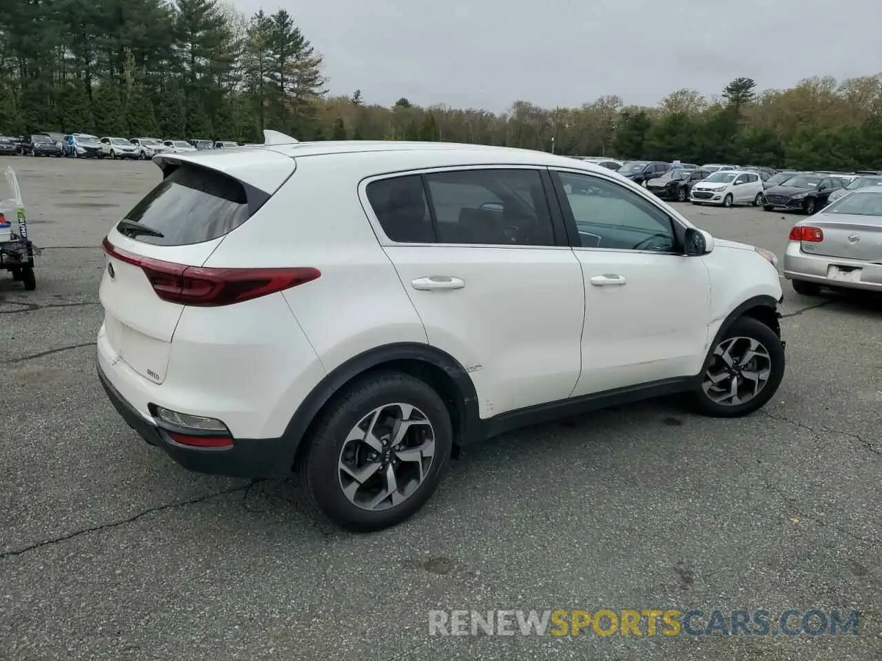 3 Photograph of a damaged car KNDPM3AC7N7994383 KIA SPORTAGE 2022