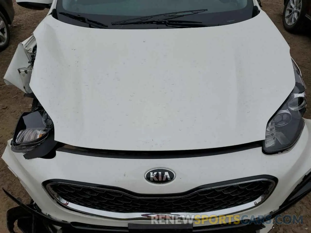 11 Photograph of a damaged car KNDPM3AC8N7955351 KIA SPORTAGE 2022