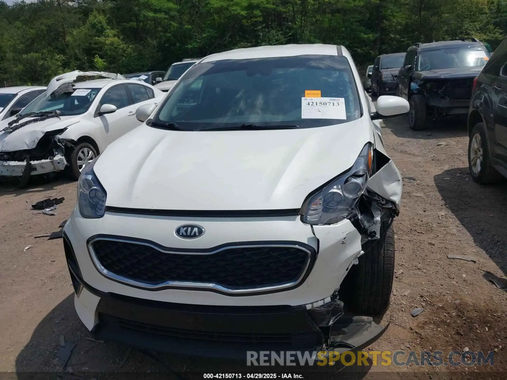 6 Photograph of a damaged car KNDPM3AC8N7995123 KIA SPORTAGE 2022