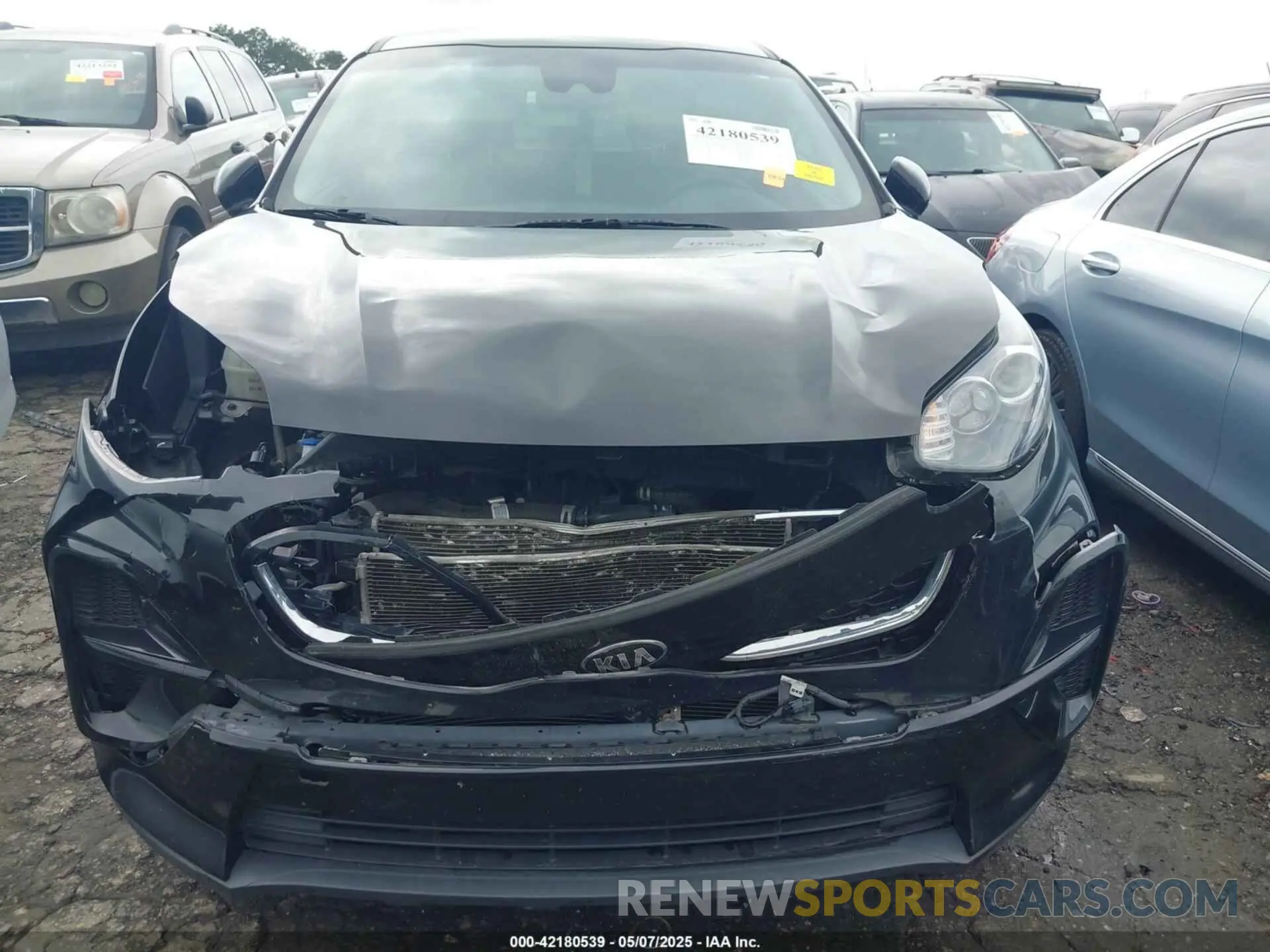 12 Photograph of a damaged car KNDPM3AC9N7967556 KIA SPORTAGE 2022