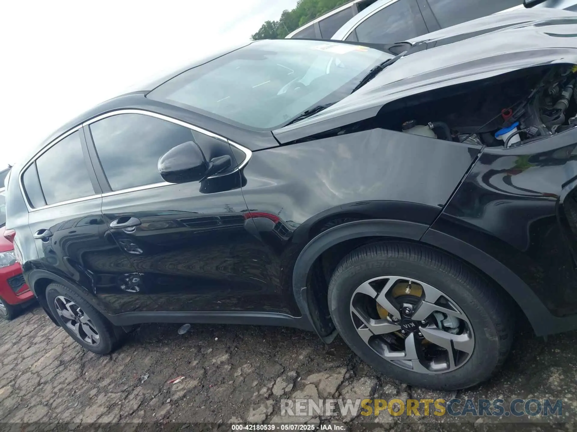 13 Photograph of a damaged car KNDPM3AC9N7967556 KIA SPORTAGE 2022