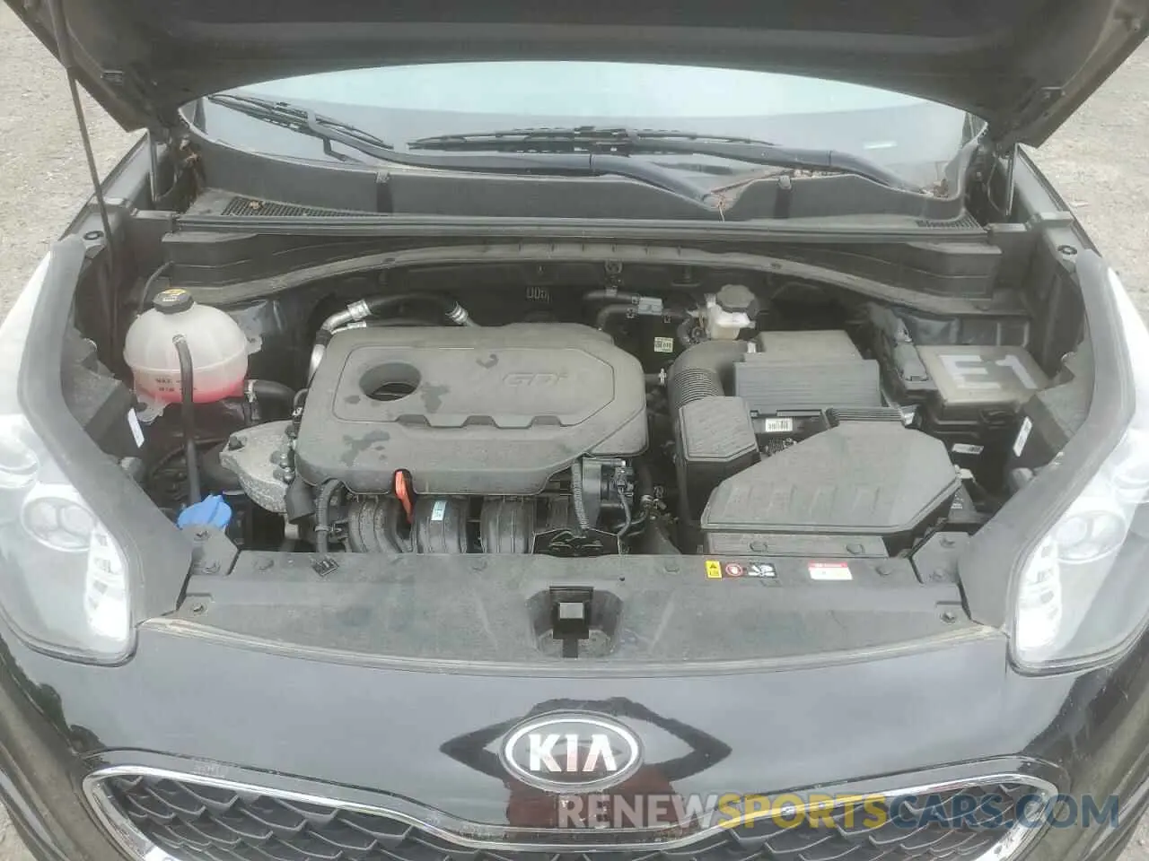 12 Photograph of a damaged car KNDPMCAC0N7995228 KIA SPORTAGE 2022