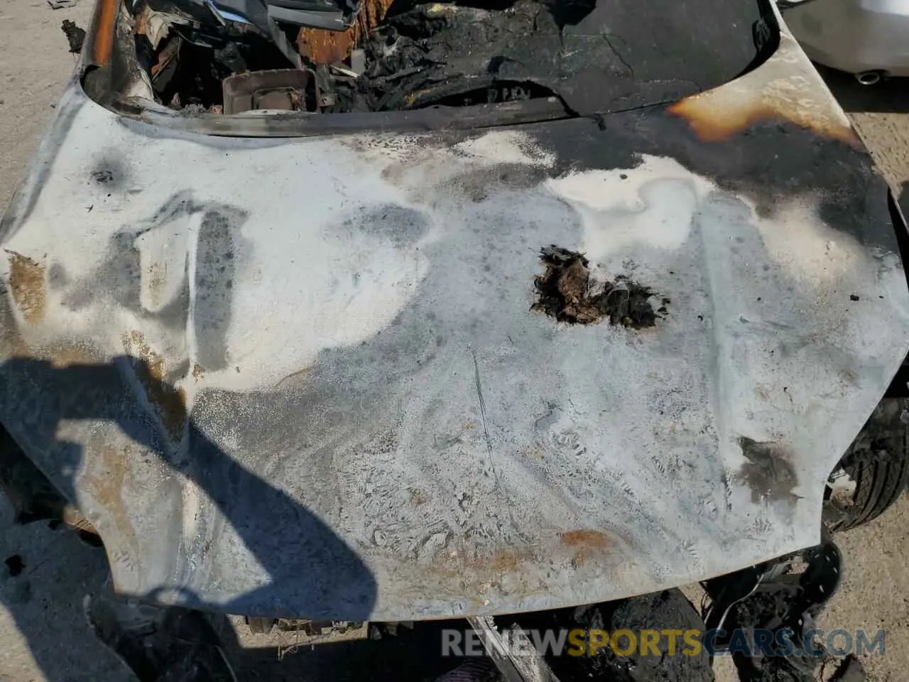 12 Photograph of a damaged car KNDPMCAC3N7948808 KIA SPORTAGE 2022