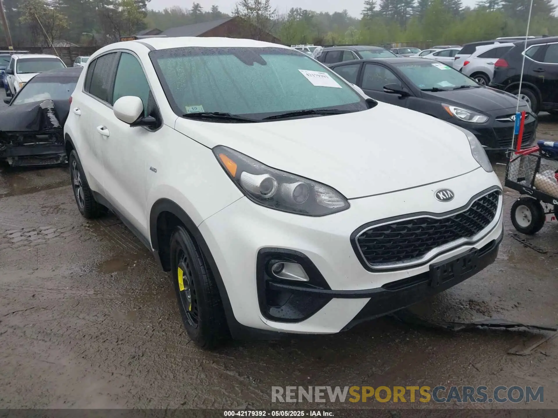 1 Photograph of a damaged car KNDPMCAC7N7008656 KIA SPORTAGE 2022