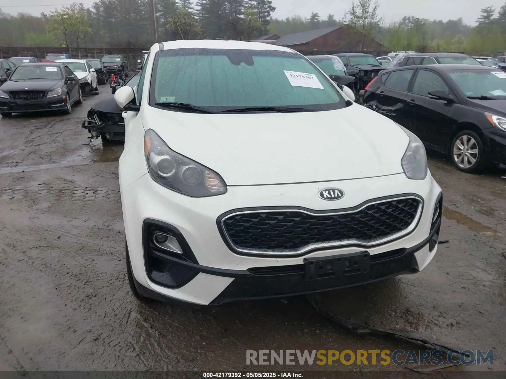 12 Photograph of a damaged car KNDPMCAC7N7008656 KIA SPORTAGE 2022