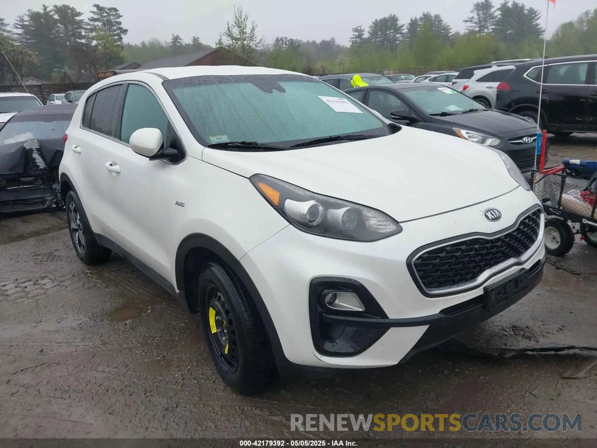 13 Photograph of a damaged car KNDPMCAC7N7008656 KIA SPORTAGE 2022