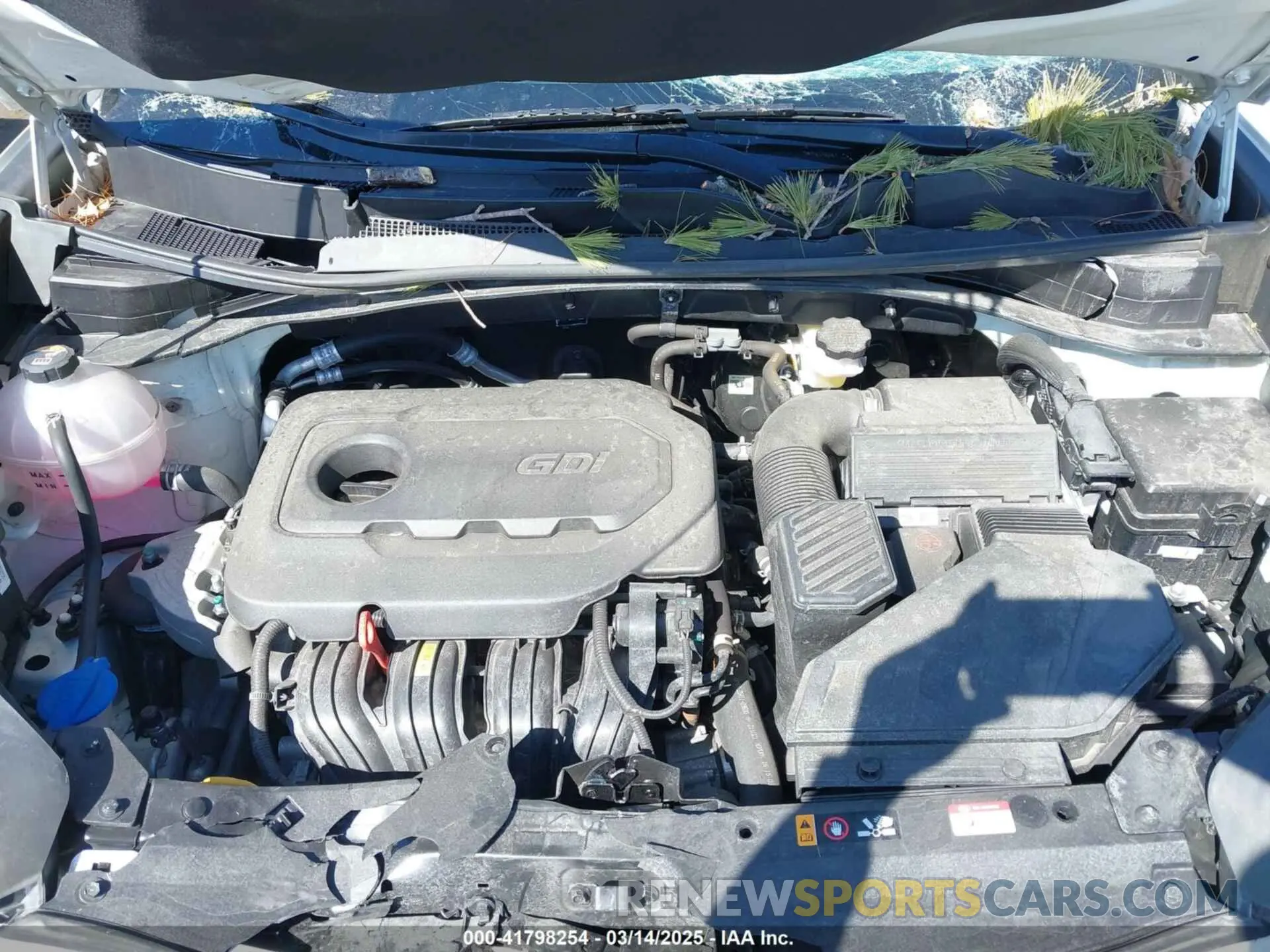 10 Photograph of a damaged car KNDPMCAC7N7025277 KIA SPORTAGE 2022