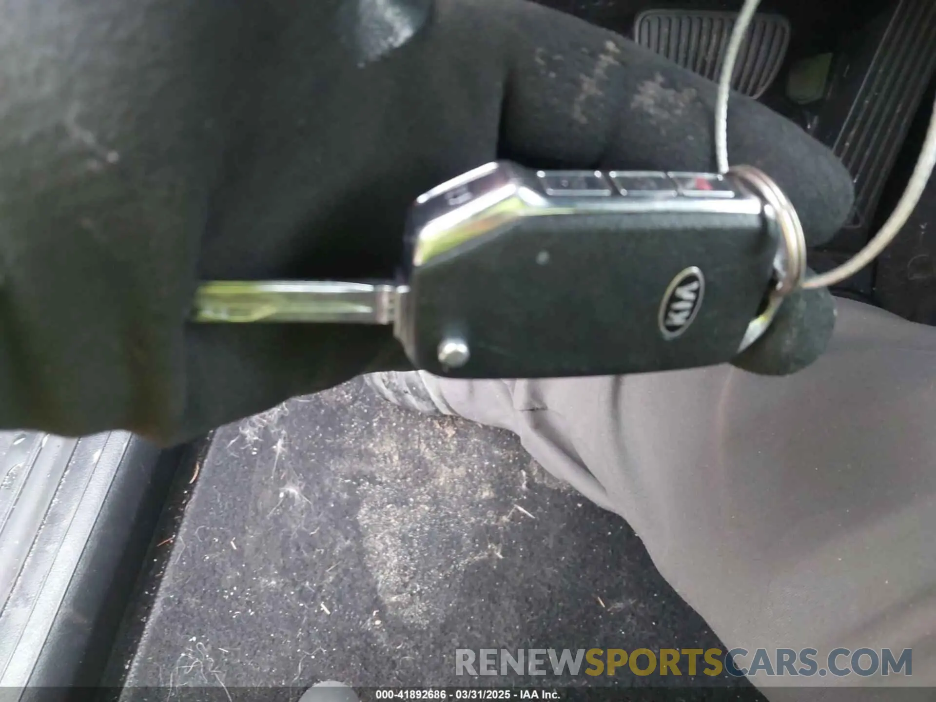 11 Photograph of a damaged car KNDPMCAC9N7954564 KIA SPORTAGE 2022
