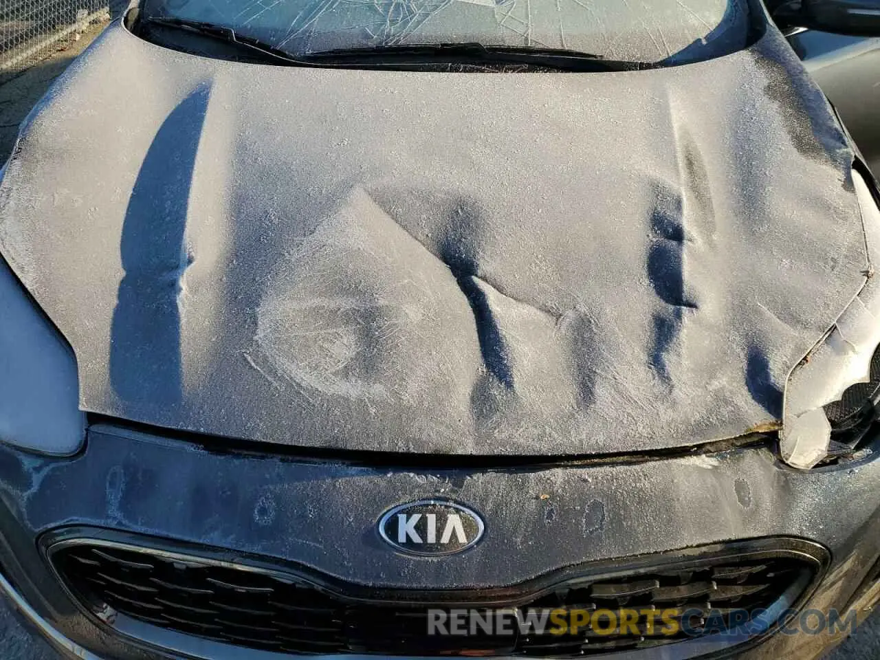 13 Photograph of a damaged car KNDPRCA64N7998581 KIA SPORTAGE 2022