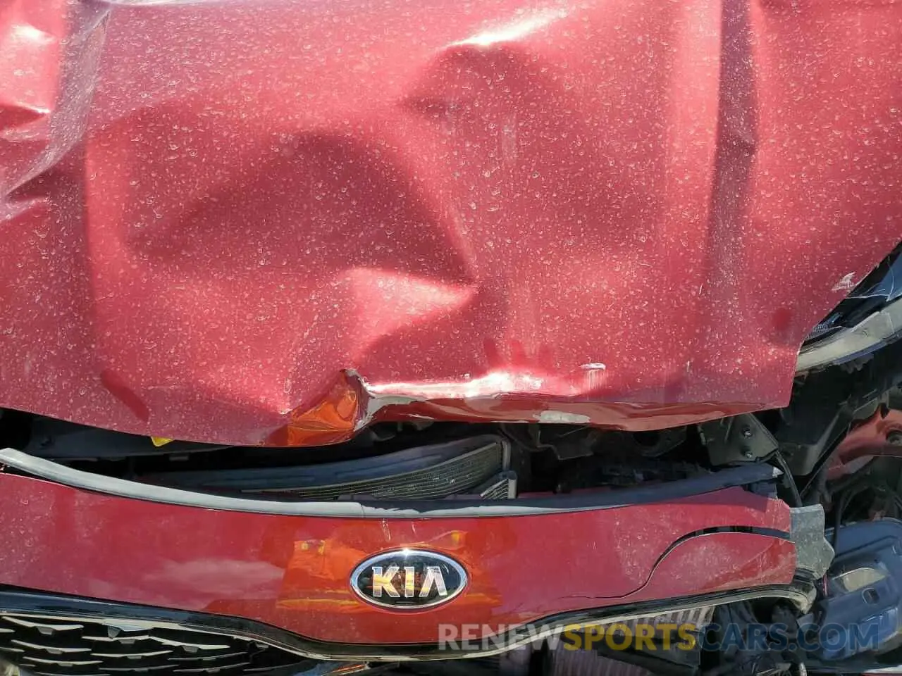 12 Photograph of a damaged car KNDPRCA68N7998082 KIA SPORTAGE 2022