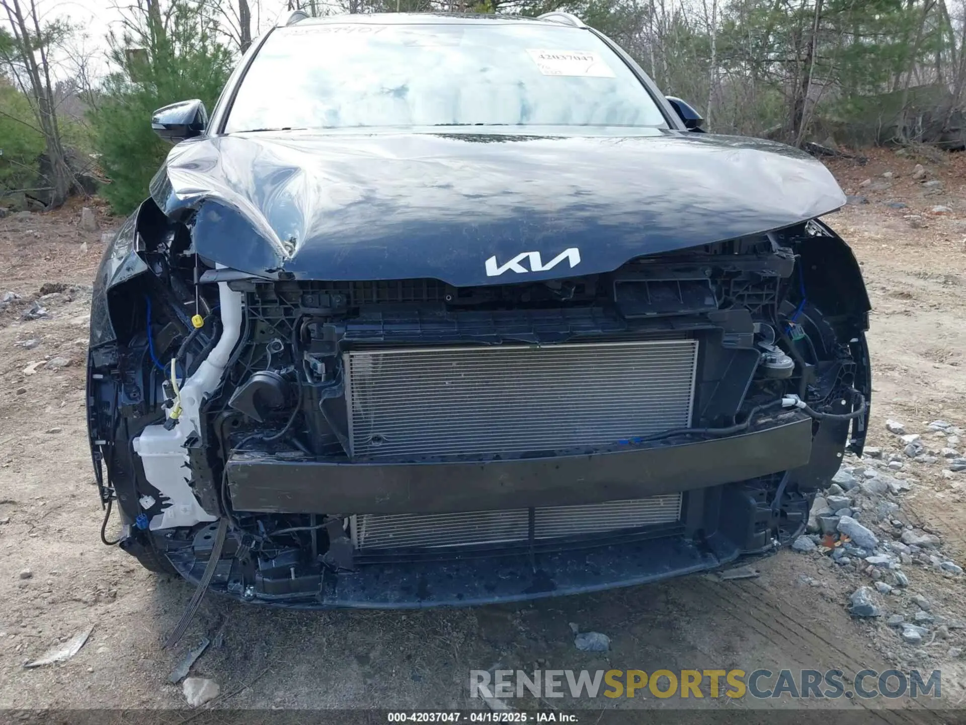 6 Photograph of a damaged car 5XYK3CAF5PG129408 KIA SPORTAGE 2023