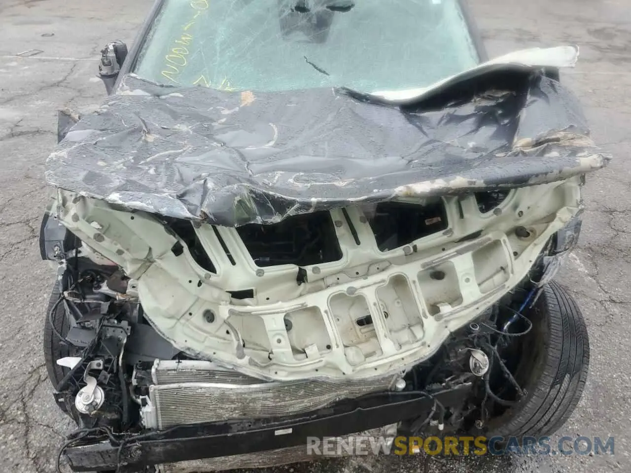 12 Photograph of a damaged car KNDPU3AF2P7153200 KIA SPORTAGE 2023