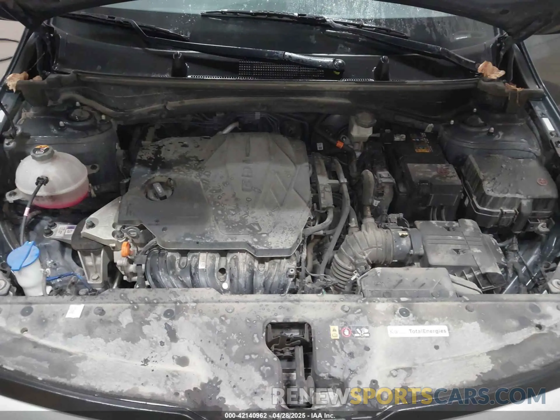 10 Photograph of a damaged car KNDPUCAF5P7175028 KIA SPORTAGE 2023