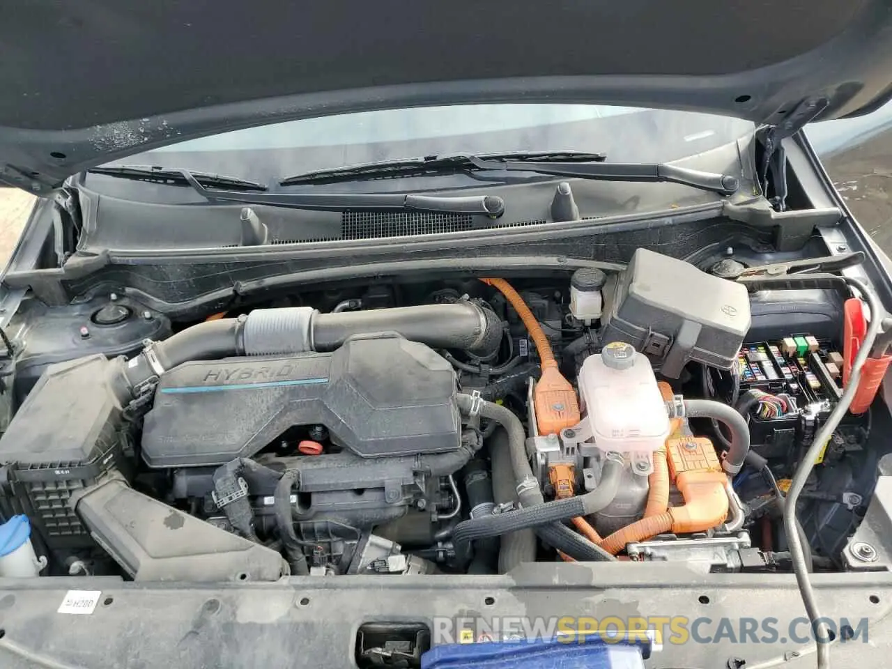 13 Photograph of a damaged car KNDPUCAG7P7052193 KIA SPORTAGE 2023