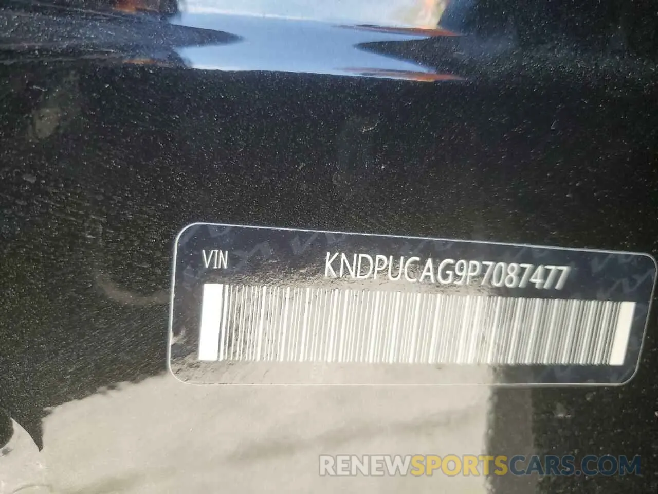13 Photograph of a damaged car KNDPUCAG9P7087477 KIA SPORTAGE 2023