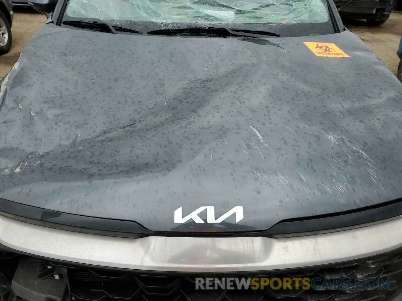 12 Photograph of a damaged car KNDPVDAH1P7086920 KIA SPORTAGE 2023