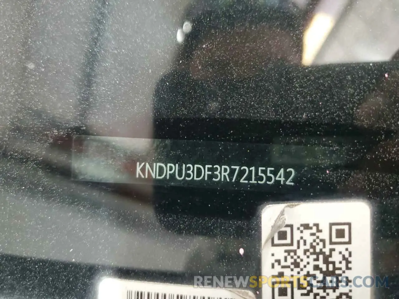 13 Photograph of a damaged car KNDPU3DF3R7215542 KIA SPORTAGE 2024