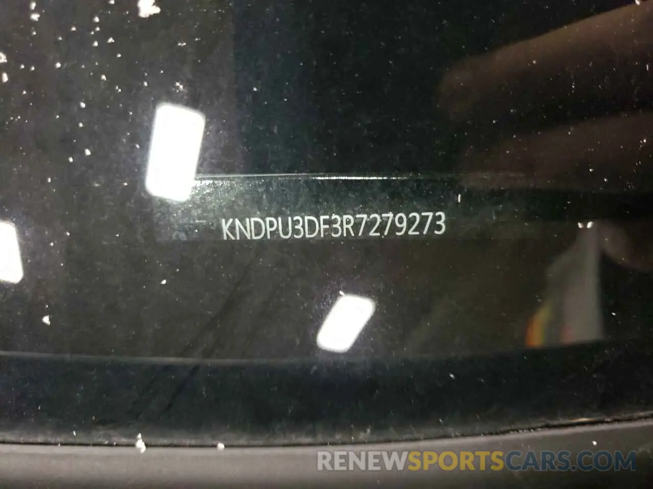 13 Photograph of a damaged car KNDPU3DF3R7279273 KIA SPORTAGE 2024