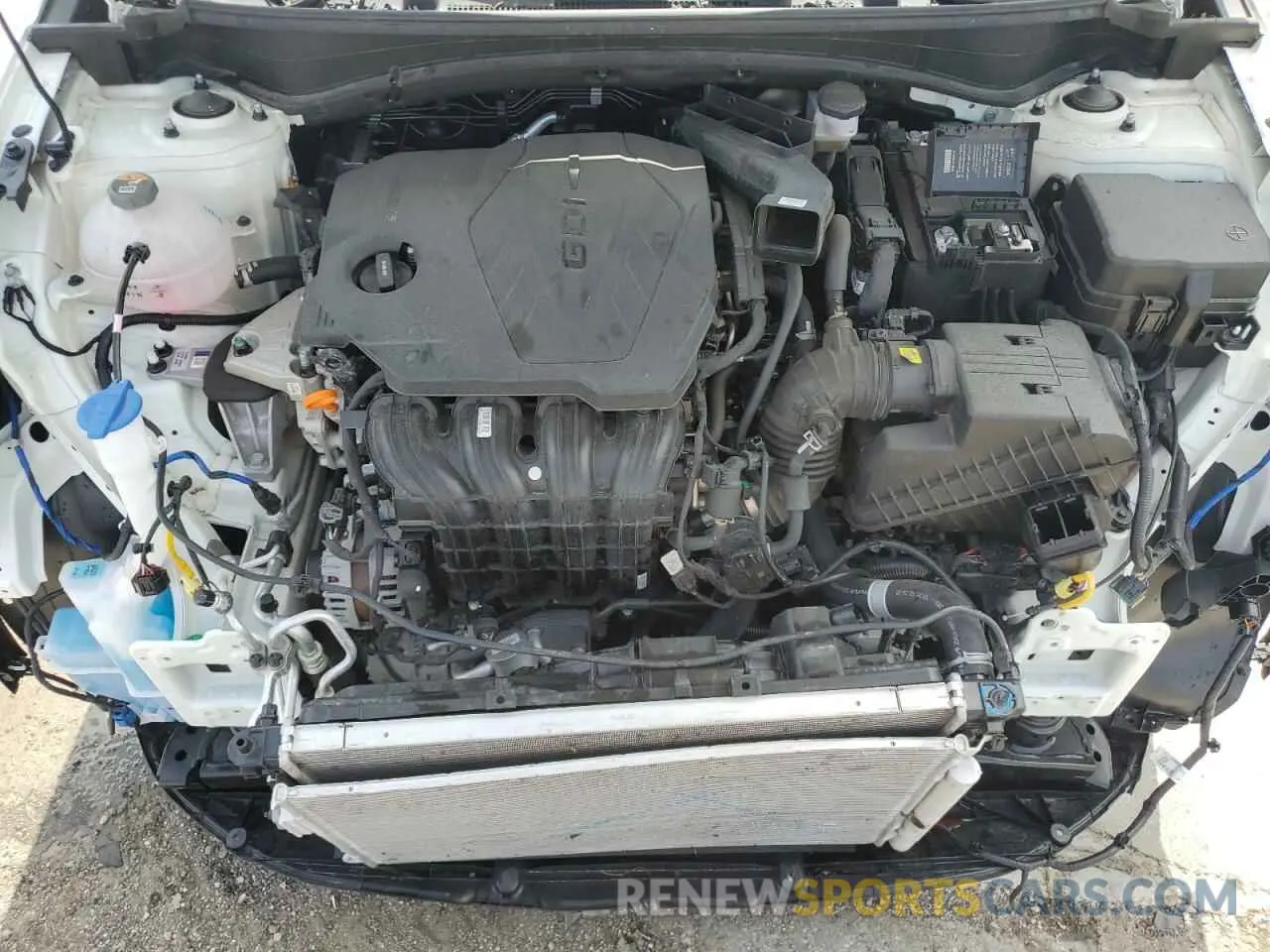 12 Photograph of a damaged car KNDPUCDF2R7309671 KIA SPORTAGE 2024
