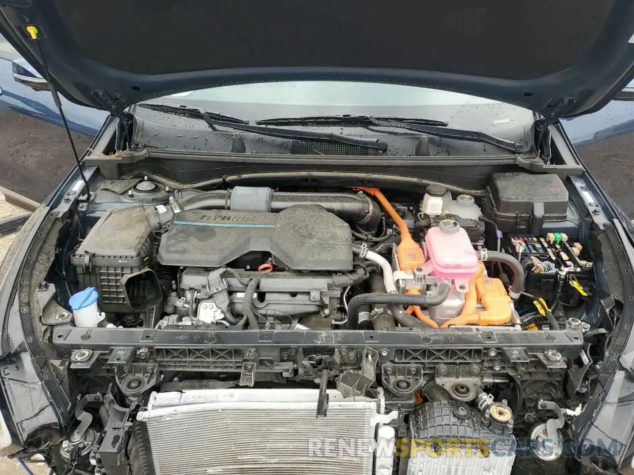 12 Photograph of a damaged car KNDPXCDG1R7121210 KIA SPORTAGE 2024