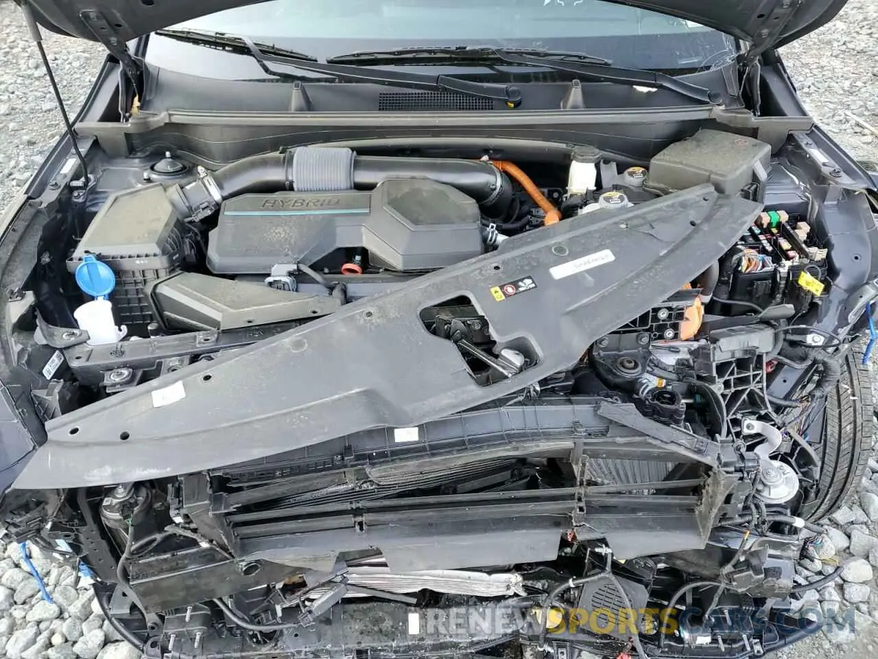 12 Photograph of a damaged car KNDPXCDGXR7132125 KIA SPORTAGE 2024