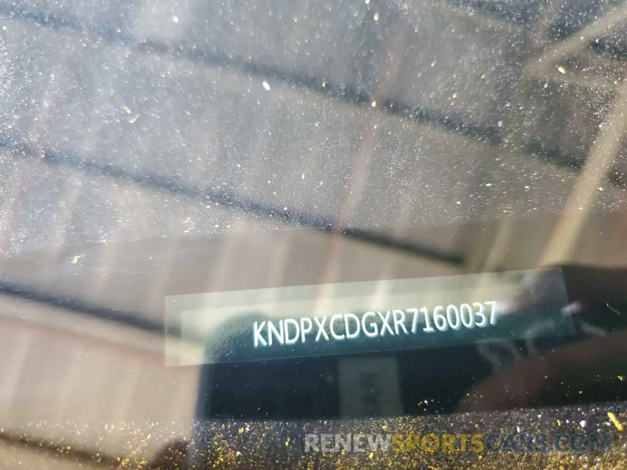 13 Photograph of a damaged car KNDPXCDGXR7160037 KIA SPORTAGE 2024
