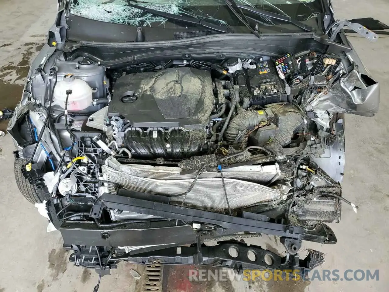 12 Photograph of a damaged car KNDPUCDF9S7371414 KIA SPORTAGE 2025