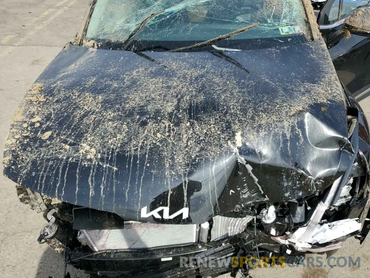 13 Photograph of a damaged car KNDPVCDG7S7212560 KIA SPORTAGE 2025