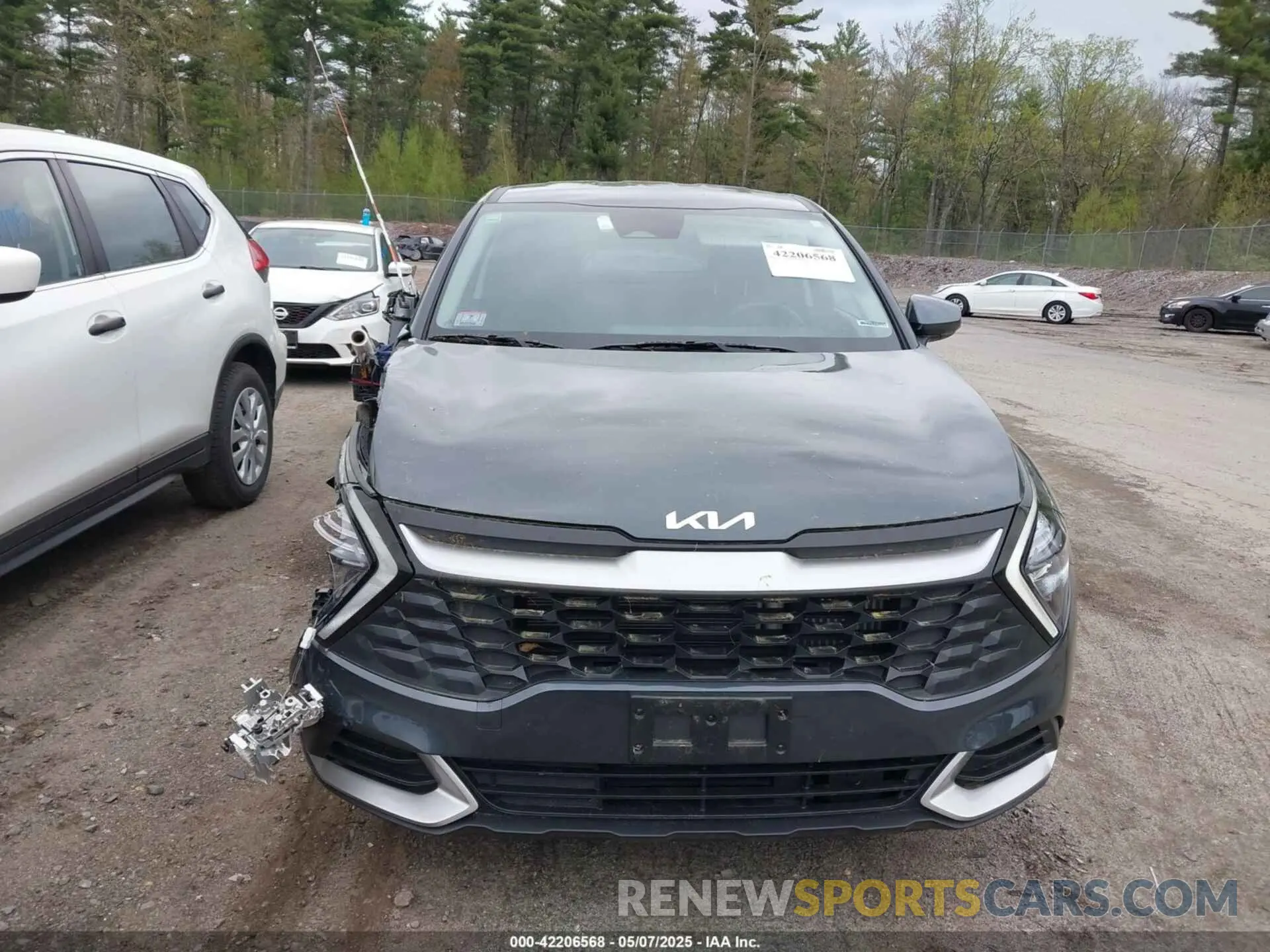 12 Photograph of a damaged car KNDPUCAG1P7056739 KIA SPORTAGE HYBRID 2023