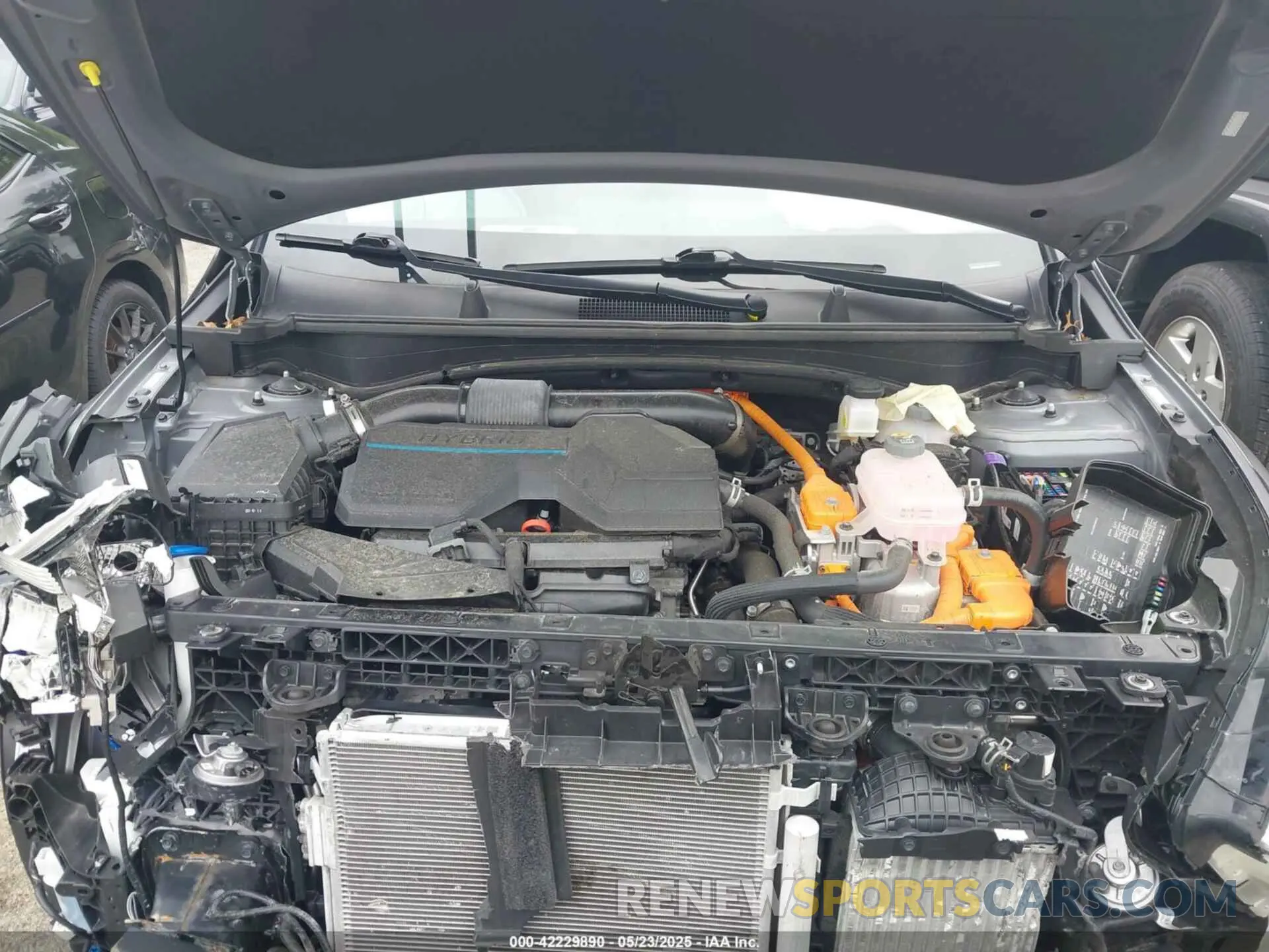 10 Photograph of a damaged car KNDPUCAG5P7064570 KIA SPORTAGE HYBRID 2023