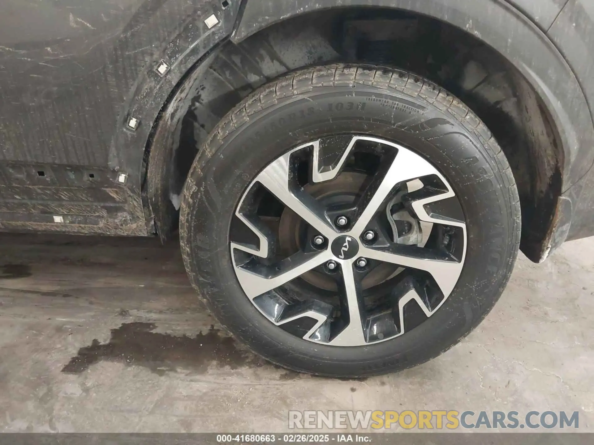 12 Photograph of a damaged car KNDPVCDGXR7162828 KIA SPORTAGE HYBRID 2024