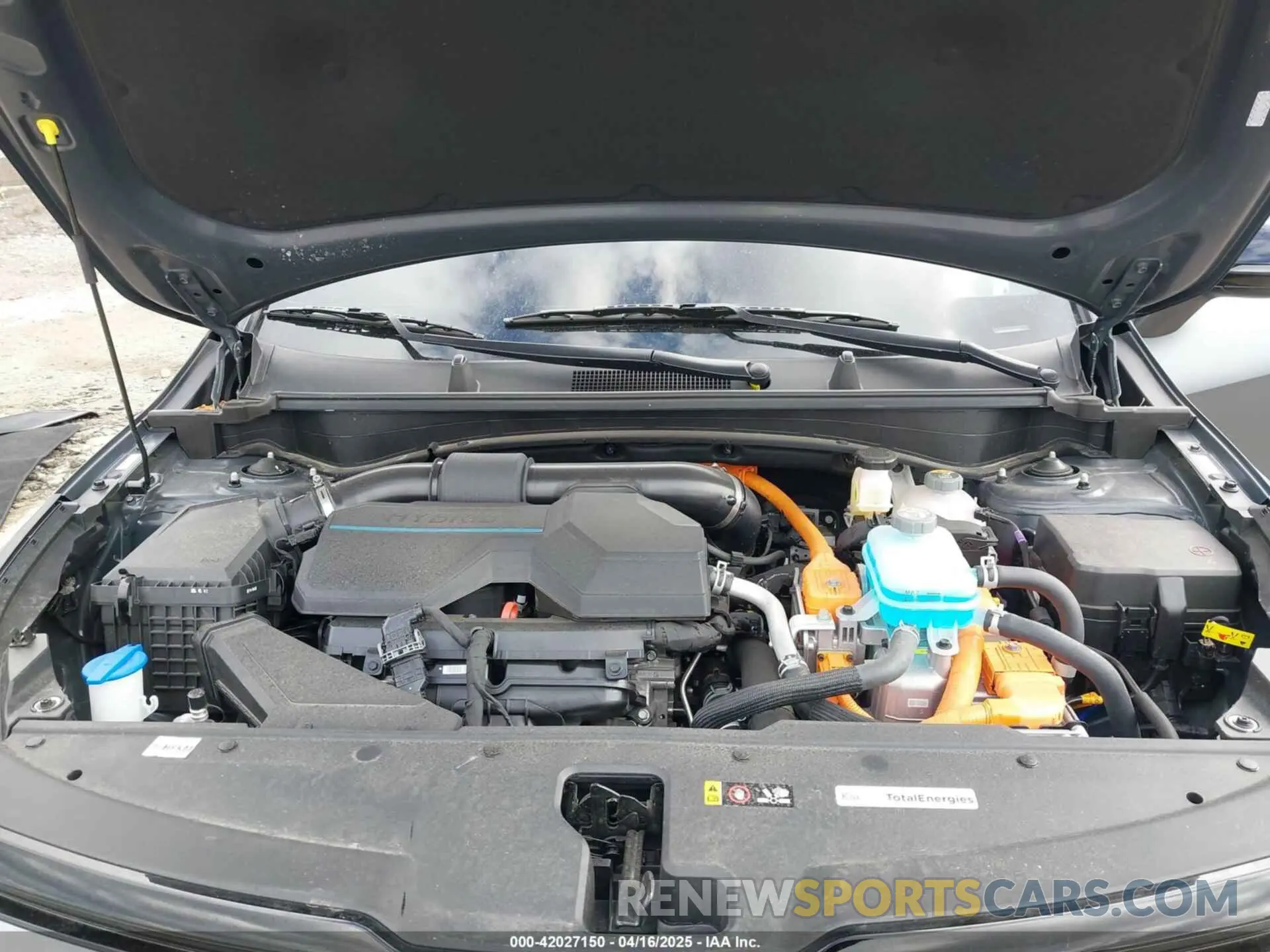 10 Photograph of a damaged car KNDPZDDH9R7166663 KIA SPORTAGE PLUG-IN HYBRID 2024