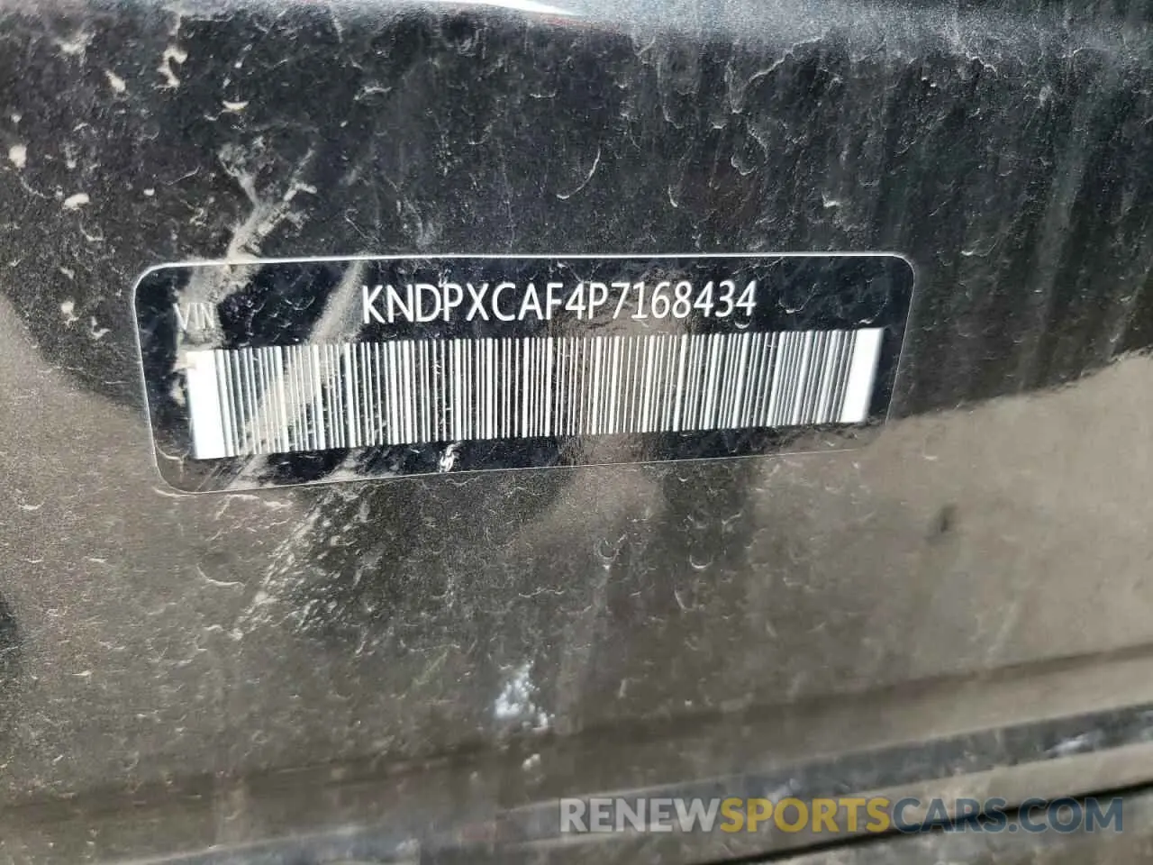 13 Photograph of a damaged car KNDPXCAF4P7168434 KIA SPORTAGE X 2023