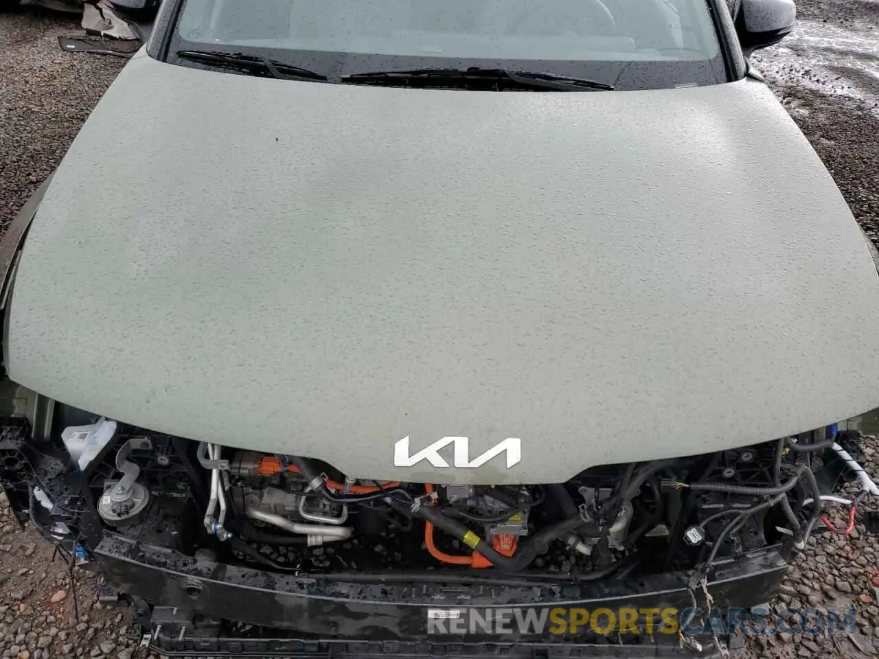 12 Photograph of a damaged car KNDPYDAH5P7048985 KIA SPORTAGE X 2023