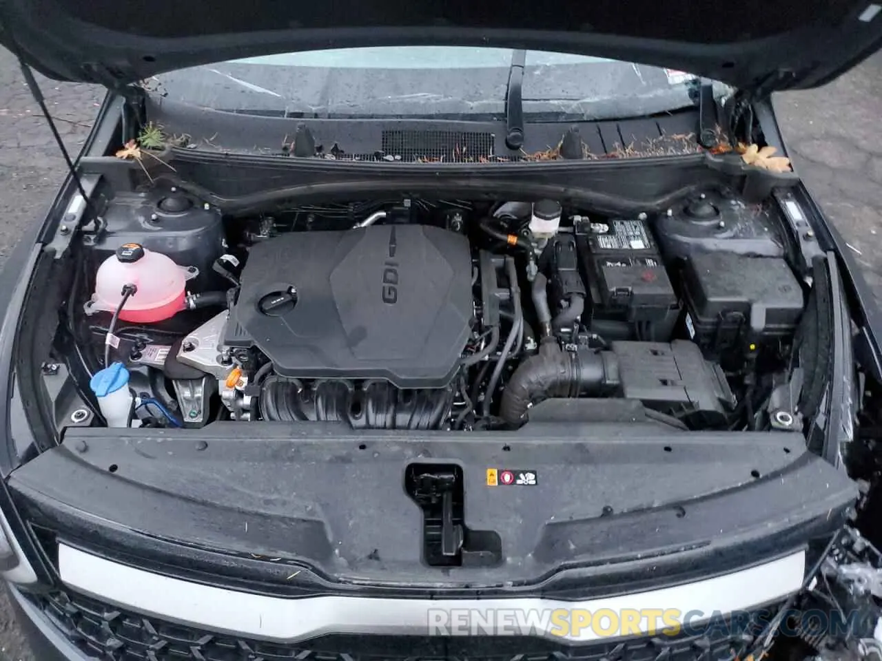 13 Photograph of a damaged car 5XYK6CDF8RG201921 KIA SPORTAGE X 2024