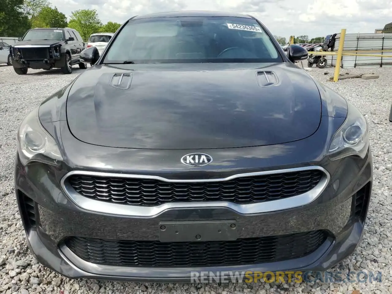 5 Photograph of a damaged car KNAE15LA8K6049853 KIA STINGER 2019