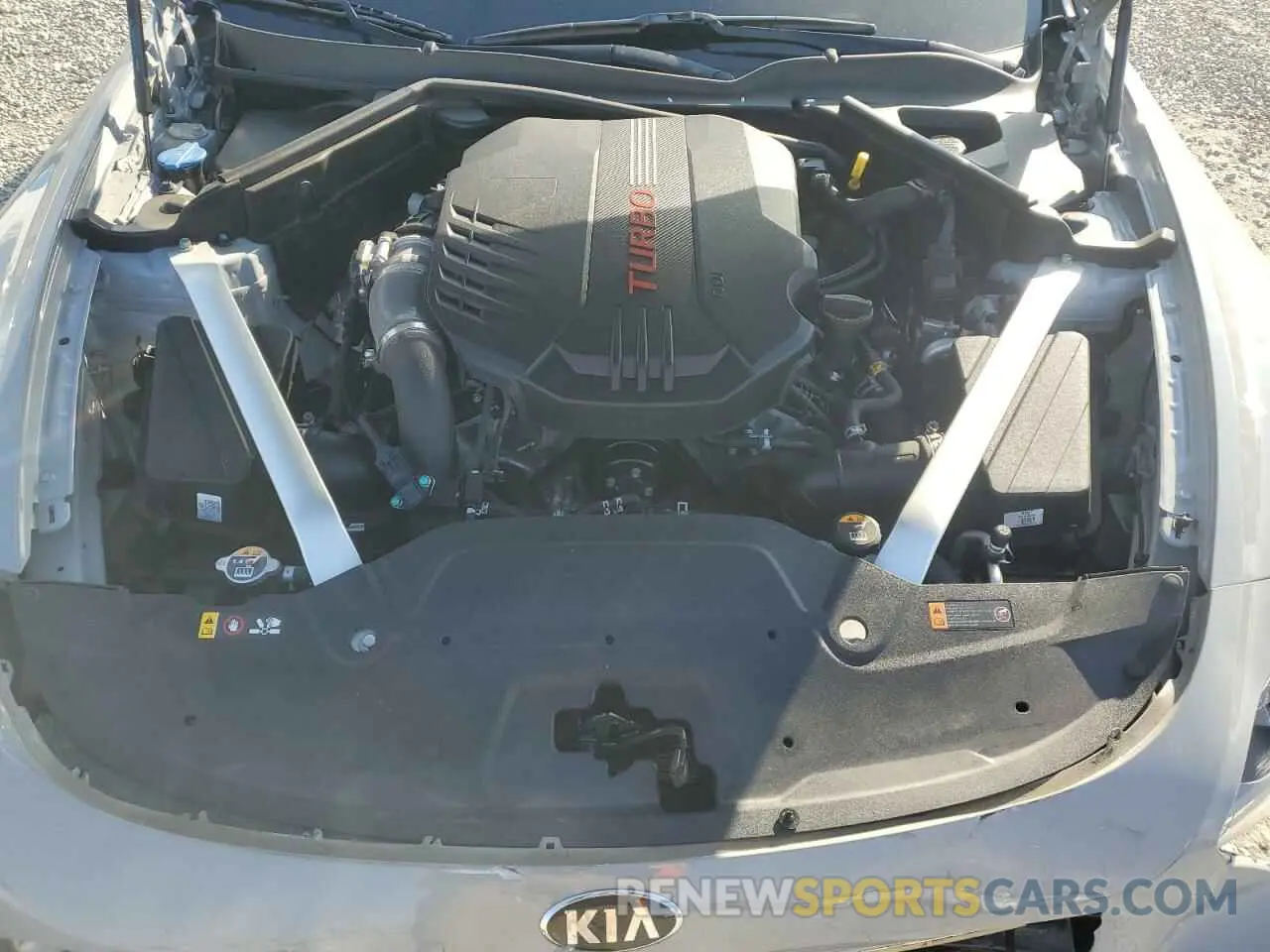 11 Photograph of a damaged car KNAE45LC6K6067857 KIA STINGER 2019