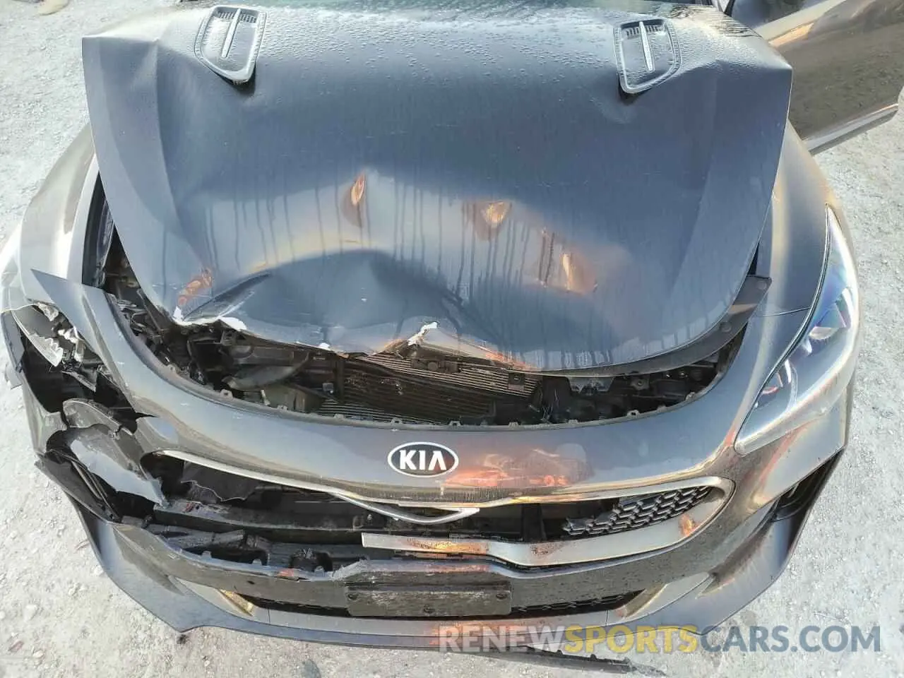 11 Photograph of a damaged car KNAE45LC7K6059301 KIA STINGER 2019