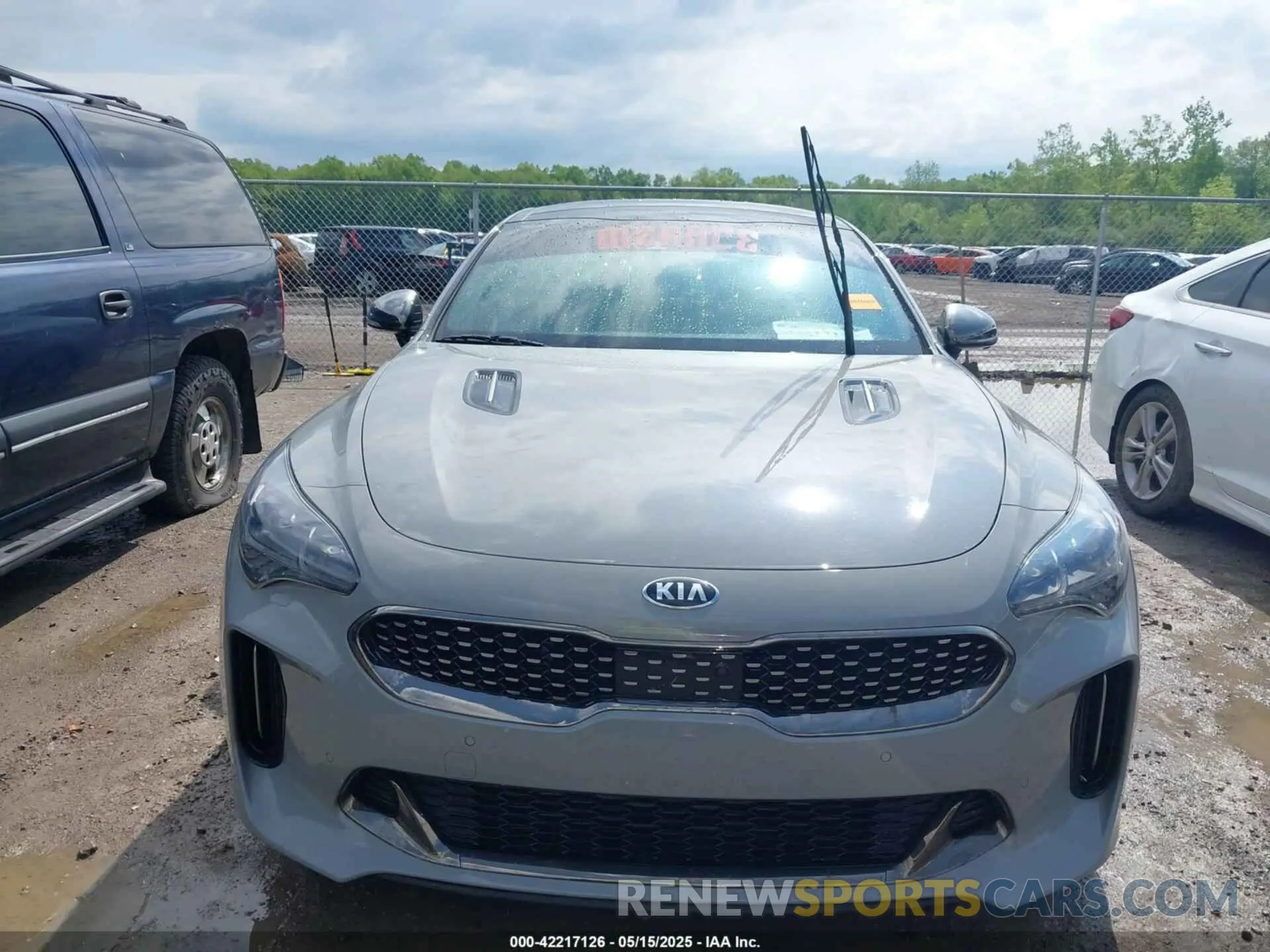12 Photograph of a damaged car KNAE55LC1K6069433 KIA STINGER 2019