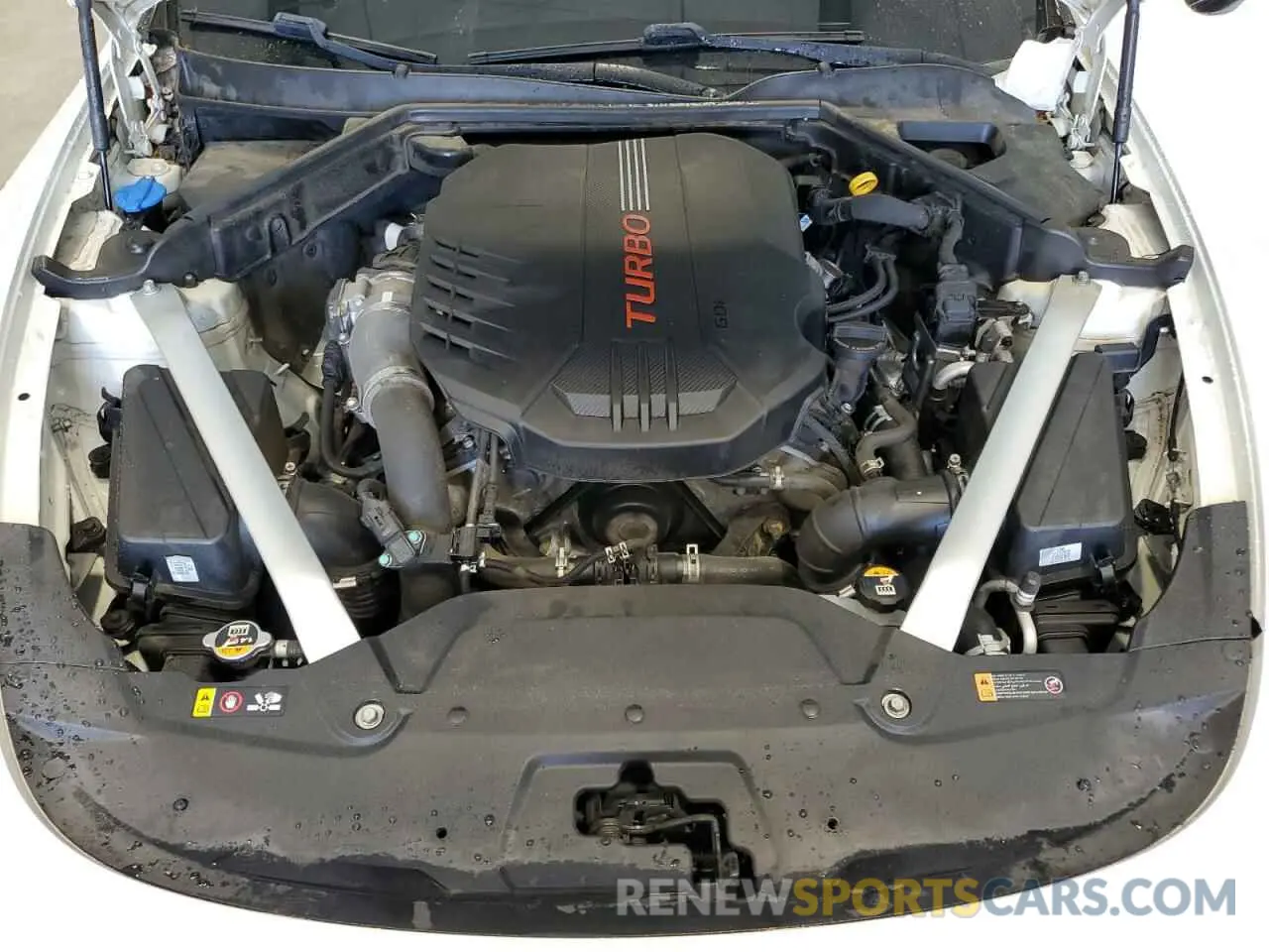 11 Photograph of a damaged car KNAE55LC2K6068081 KIA STINGER 2019