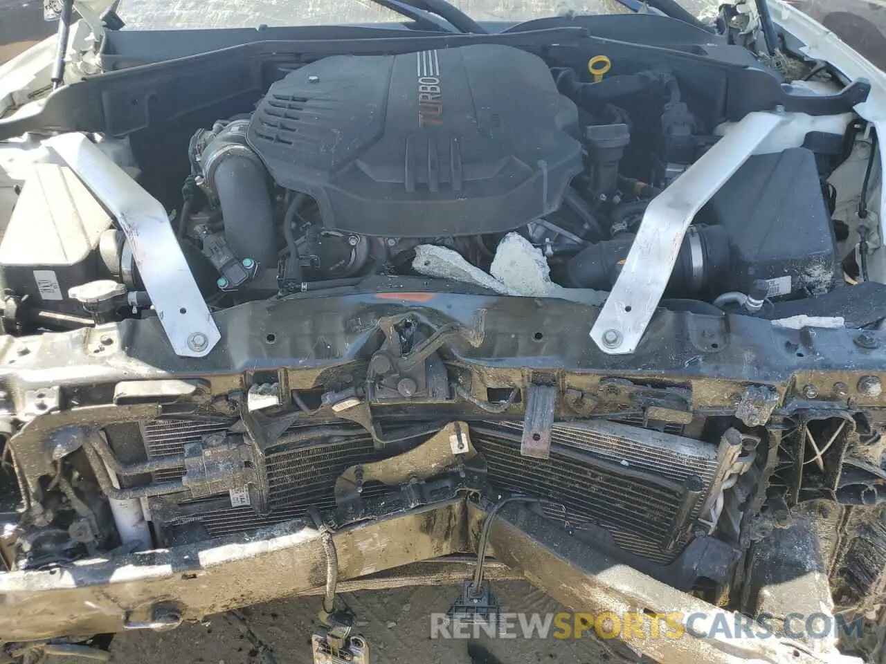 11 Photograph of a damaged car KNAE55LC3K6068526 KIA STINGER 2019
