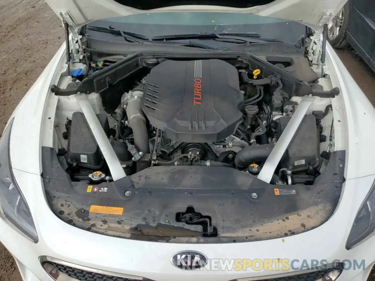 11 Photograph of a damaged car KNAE35LC5L6080765 KIA STINGER 2020