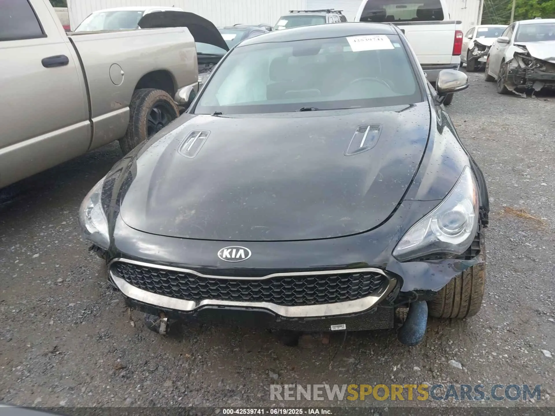 12 Photograph of a damaged car KNAE15LA2M6087467 KIA STINGER 2021