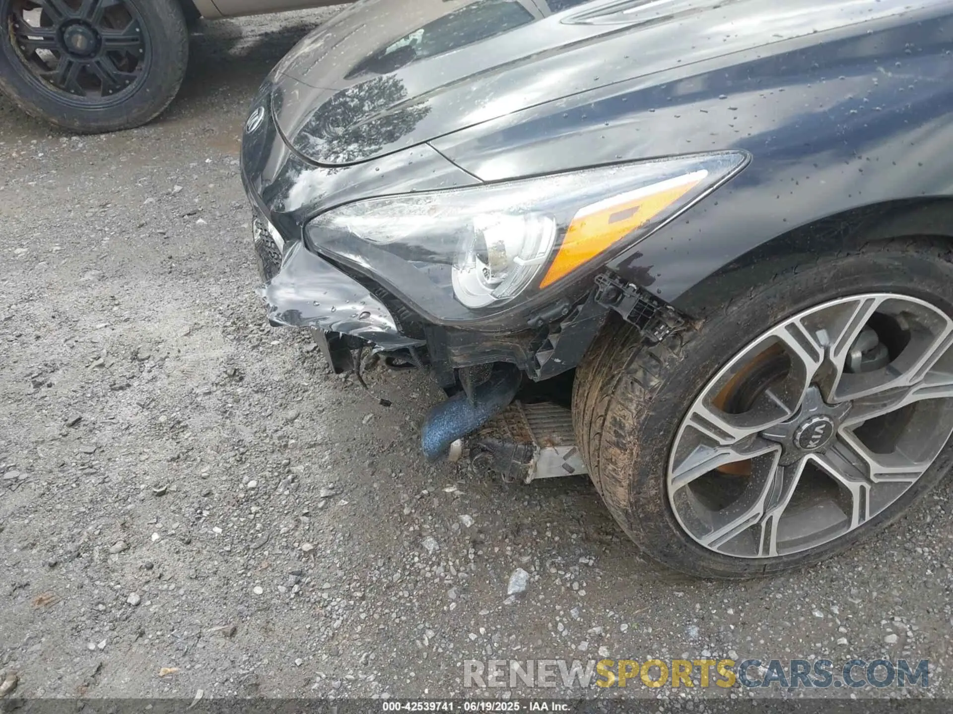 6 Photograph of a damaged car KNAE15LA2M6087467 KIA STINGER 2021