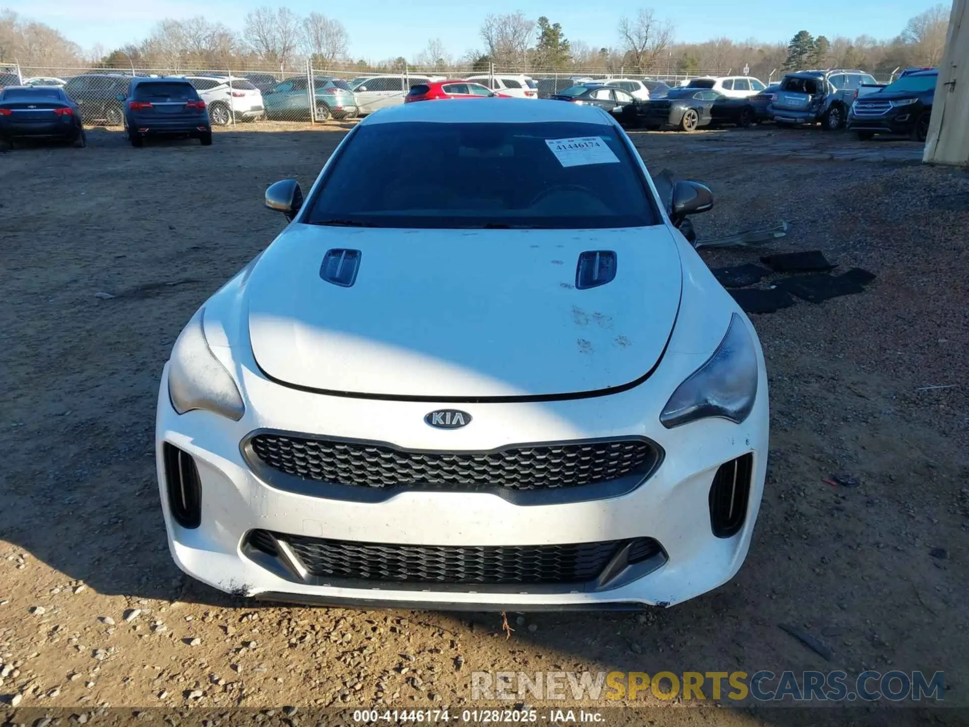 13 Photograph of a damaged car KNAE15LA4M6089981 KIA STINGER 2021