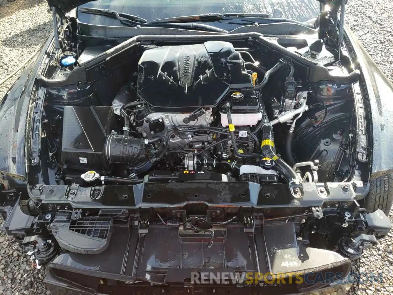 11 Photograph of a damaged car KNAE35LD3N6116514 KIA STINGER 2022