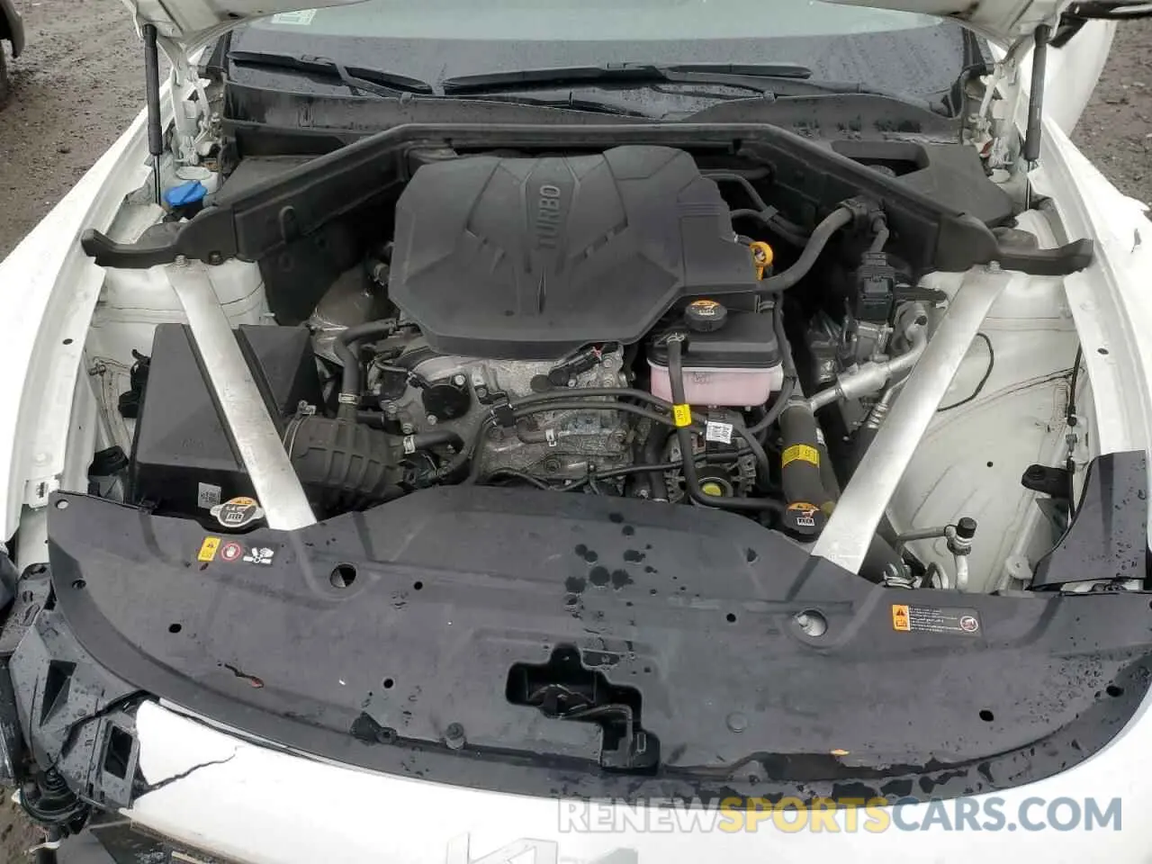 11 Photograph of a damaged car KNAE35LD6N6101327 KIA STINGER 2022
