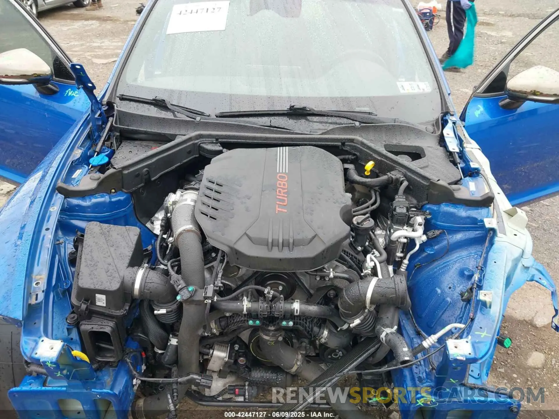 10 Photograph of a damaged car KNAE45LC7N6108100 KIA STINGER 2022
