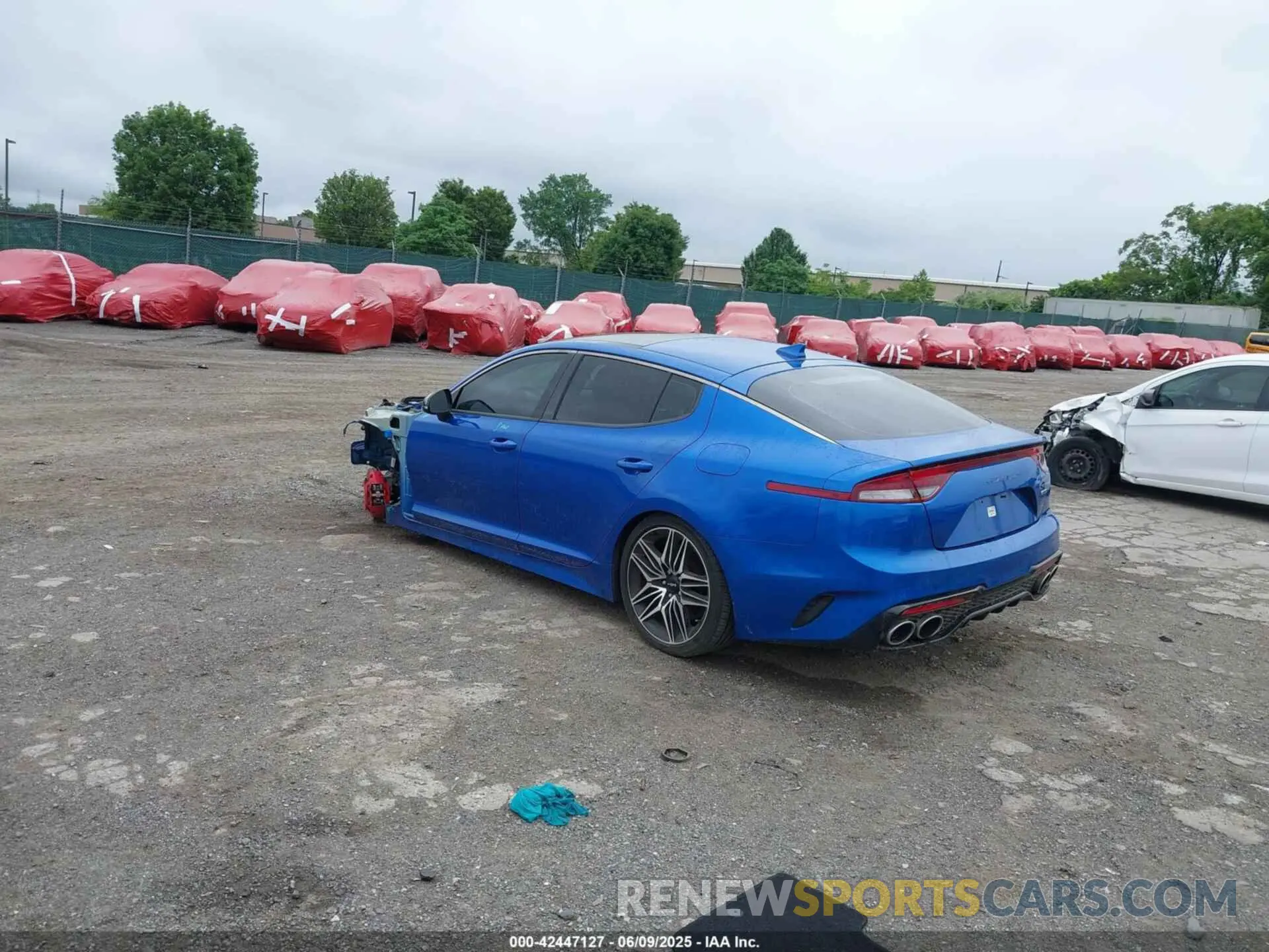 3 Photograph of a damaged car KNAE45LC7N6108100 KIA STINGER 2022