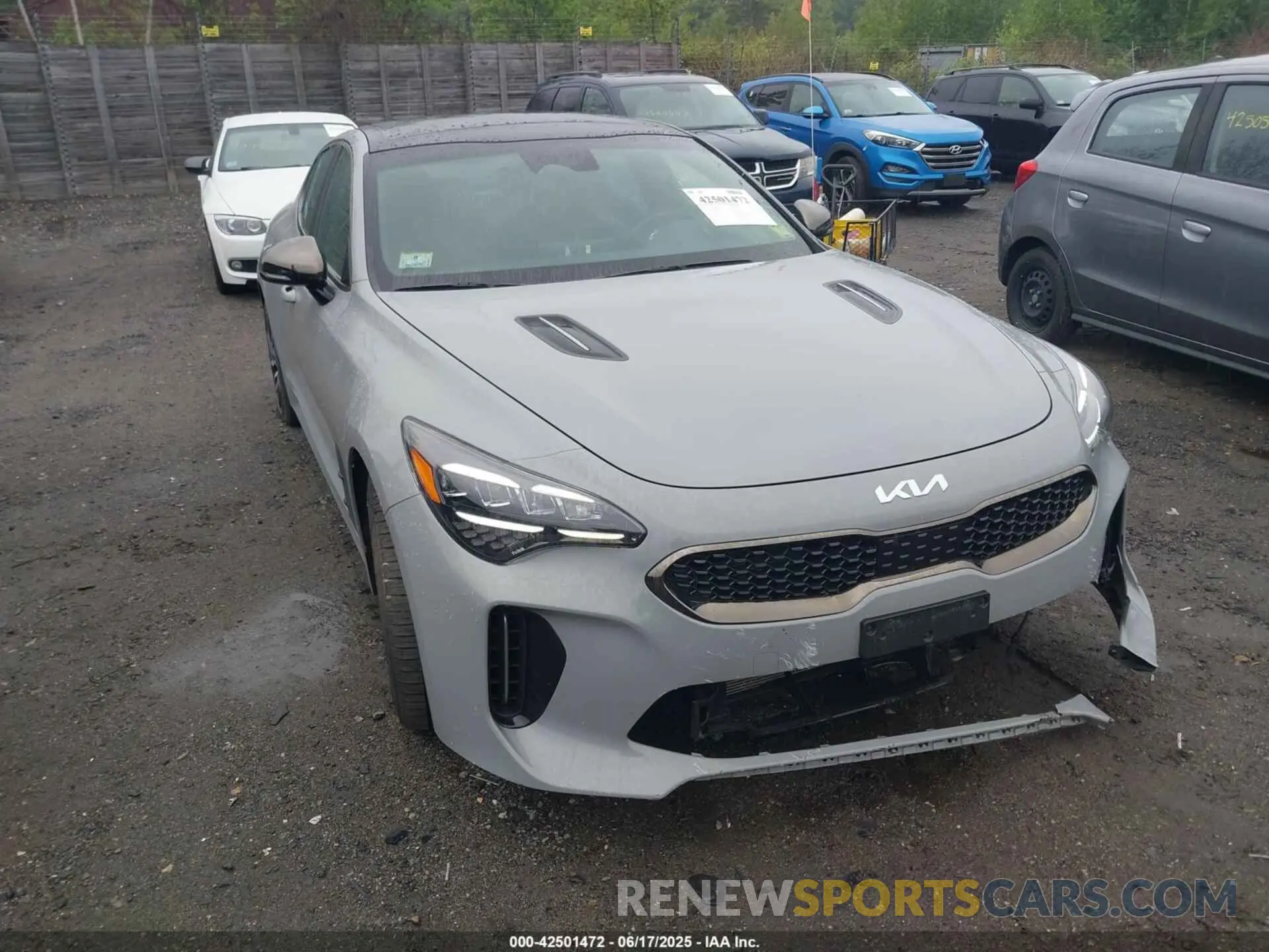 12 Photograph of a damaged car KNAE35LD7P6122920 KIA STINGER 2023